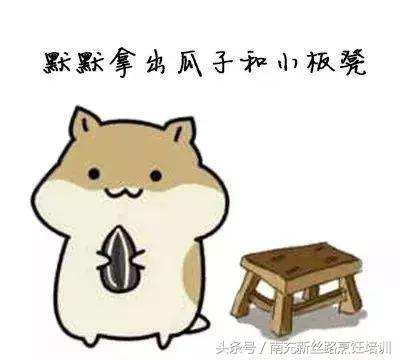 厨师的优势,年轻厨师团队的优势在哪