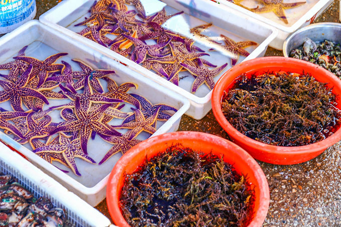 山东渔村两日游,山东一个风景很好的岛