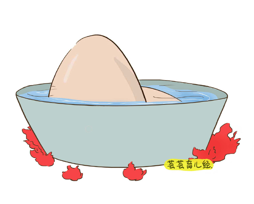 安胎养胎的食物有哪些,养胎的食物有哪些