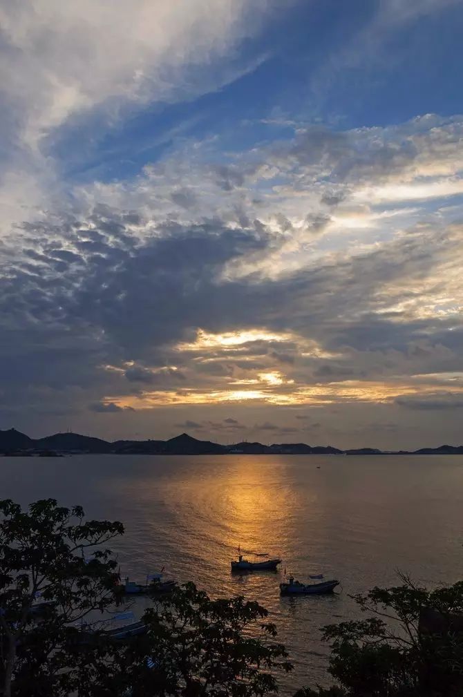 适合带着去旅行的宠物,宠物旅行攻略如何带宠物出门旅游