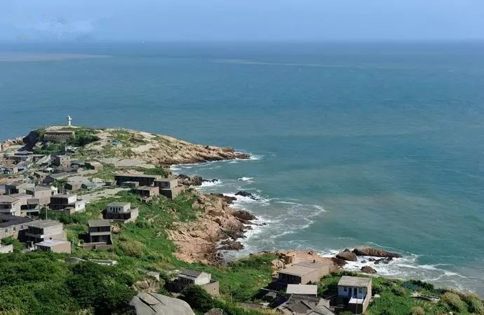 适合带着去旅行的宠物,宠物旅行攻略如何带宠物出门旅游