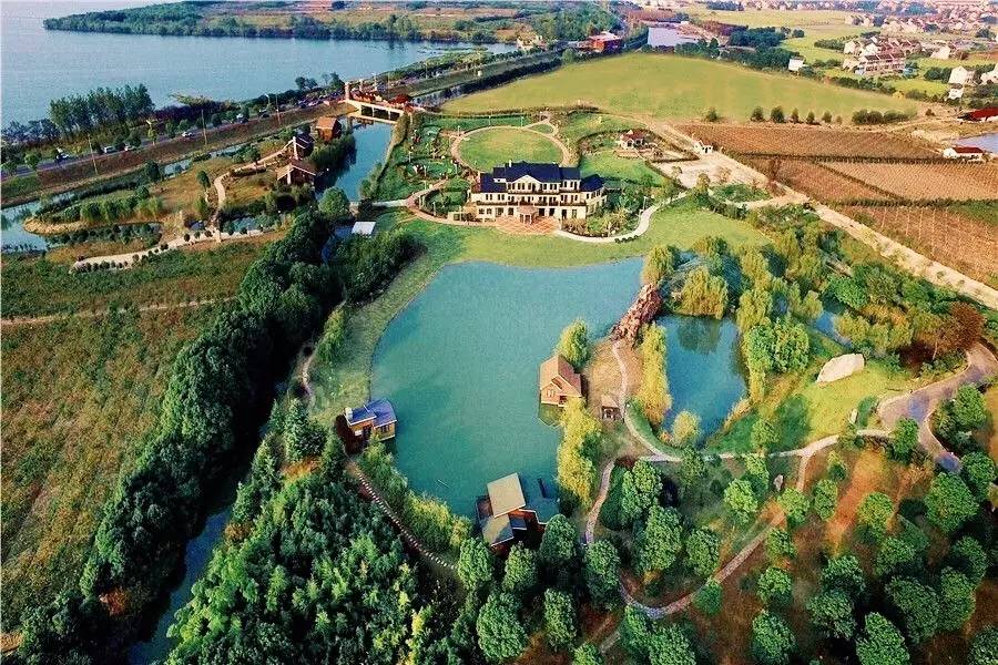 适合带着去旅行的宠物,宠物旅行攻略如何带宠物出门旅游