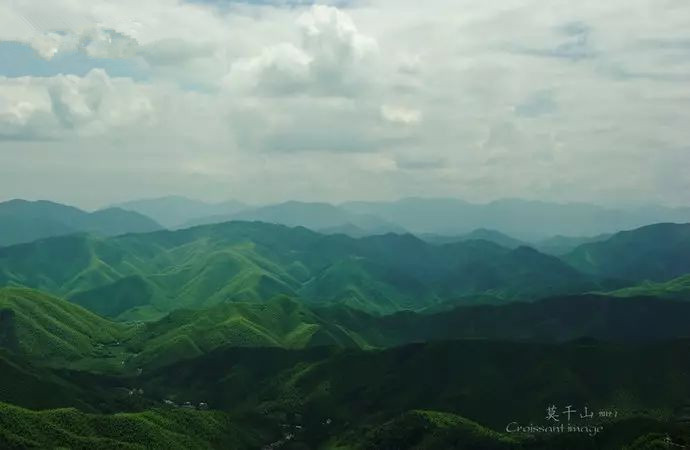 适合带着去旅行的宠物,宠物旅行攻略如何带宠物出门旅游