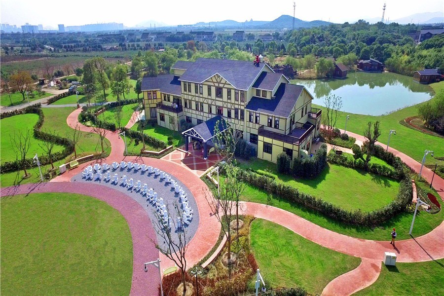 适合带着去旅行的宠物,宠物旅行攻略如何带宠物出门旅游