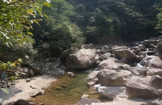 适合带着去旅行的宠物,宠物旅行攻略如何带宠物出门旅游