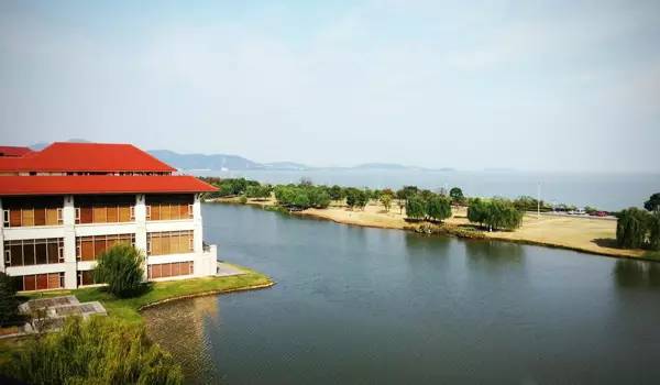 适合带着去旅行的宠物,宠物旅行攻略如何带宠物出门旅游