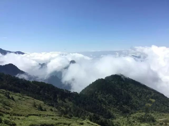 适合带着去旅行的宠物,宠物旅行攻略如何带宠物出门旅游