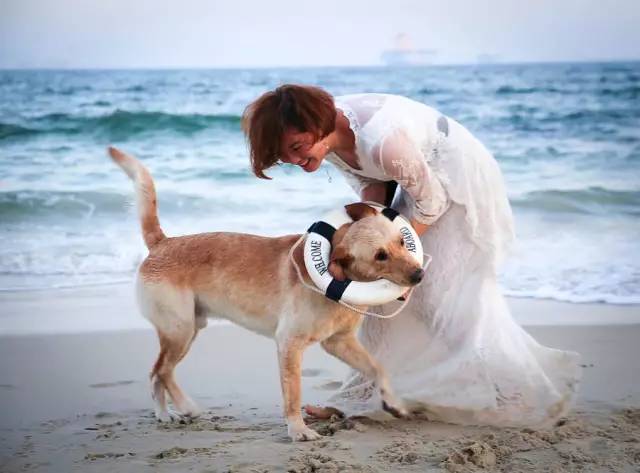 适合带着去旅行的宠物,宠物旅行攻略如何带宠物出门旅游