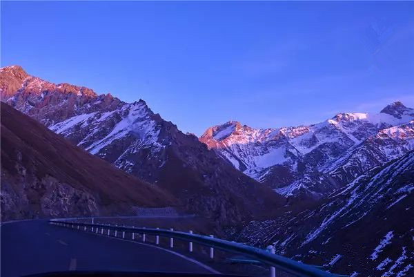 适合带着去旅行的宠物,宠物旅行攻略如何带宠物出门旅游