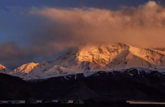 适合带着去旅行的宠物,宠物旅行攻略如何带宠物出门旅游