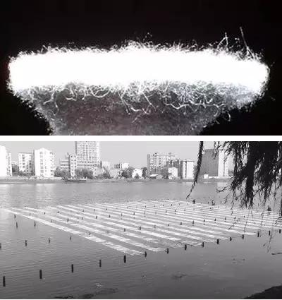 亲水驳岸景观设计,生态河道景观设计