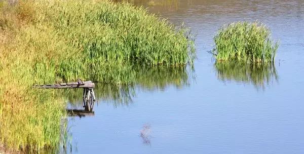 亲水驳岸景观设计,生态河道景观设计