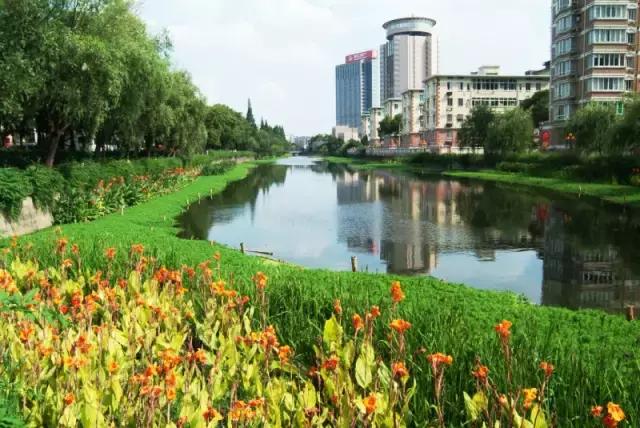 亲水驳岸景观设计,生态河道景观设计