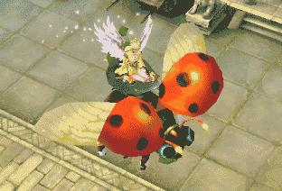 它们竟是“活农药”！一大拨可爱又烦人“花大姐”造访长春