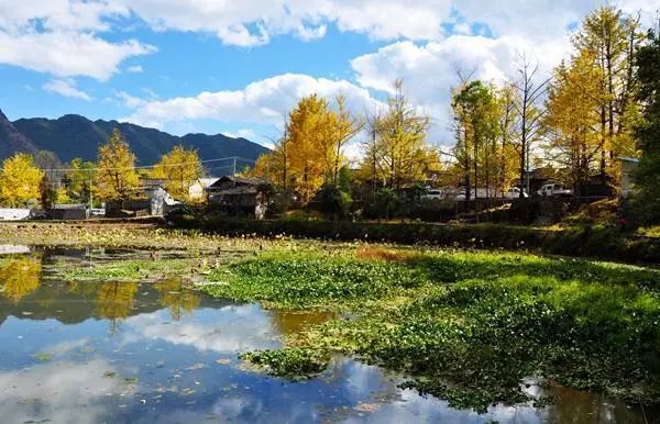 2016年国家级美丽乡村示范村名单,第一批全国100个美丽乡村名单