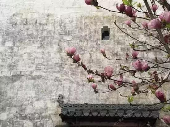 婺源好看的民宿,婺源民宿十佳排名婺源流苏小筑