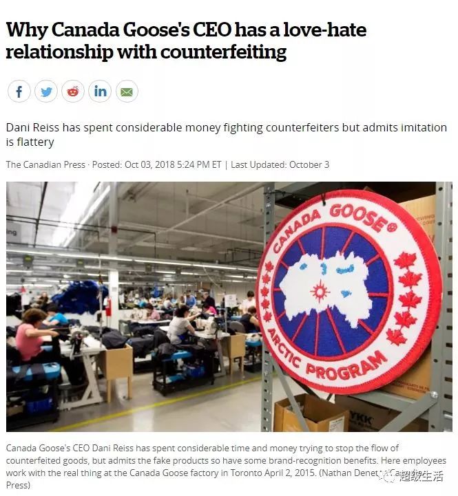 加拿大鹅卖假货,加拿大鹅打架事件
