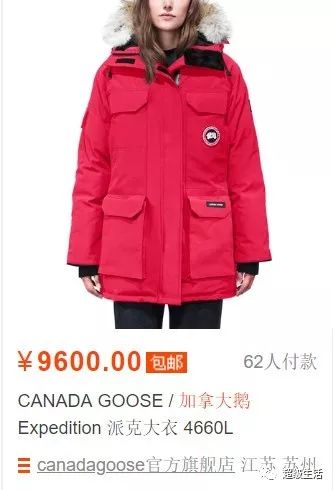 加拿大鹅卖假货,加拿大鹅打架事件