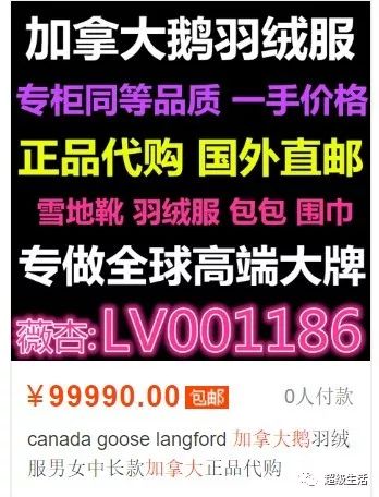 加拿大鹅卖假货,加拿大鹅打架事件