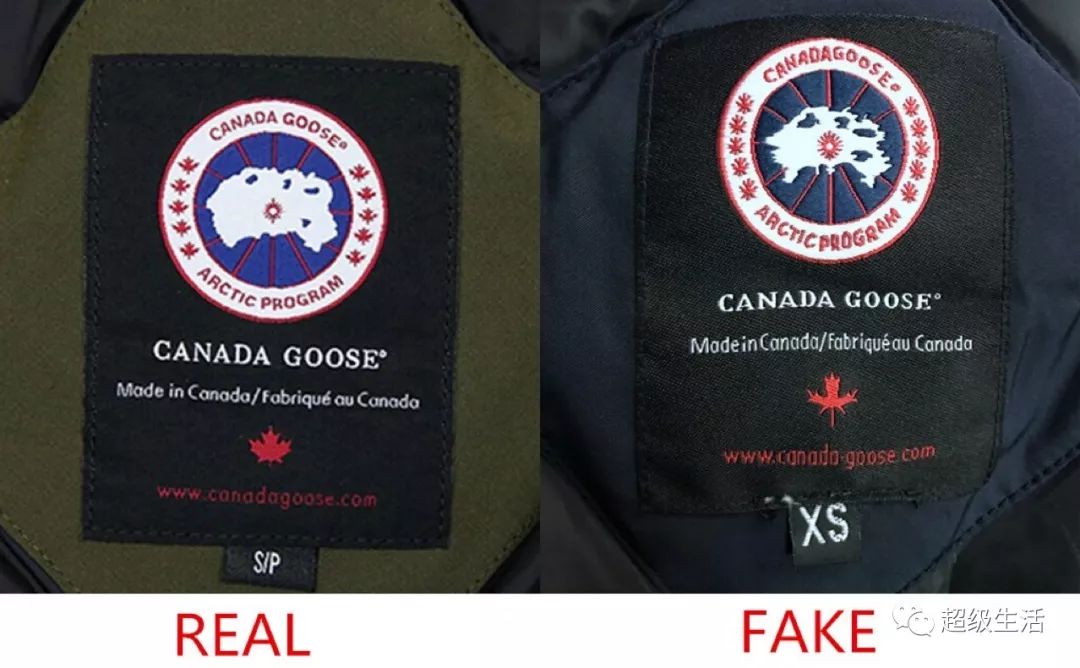 加拿大鹅卖假货,加拿大鹅打架事件