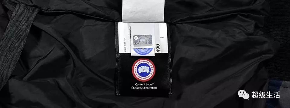 加拿大鹅卖假货,加拿大鹅打架事件