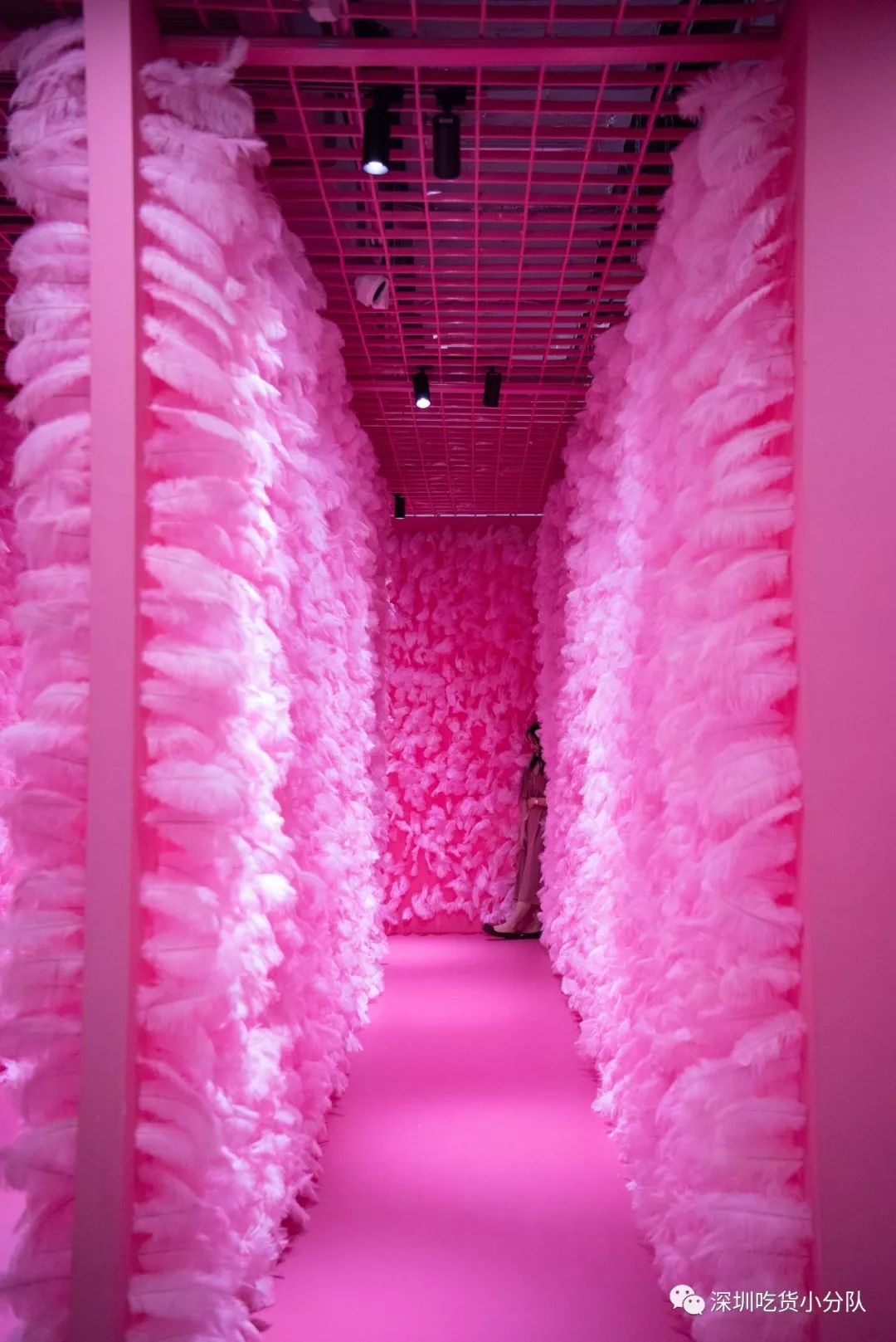 网红拔草清单大全,拔草清单这些网红产品千万别买