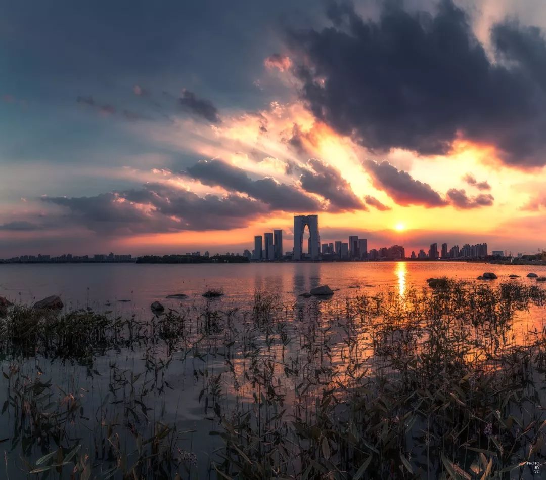 连续三年包揽前三,连续8年蝉联全球第一