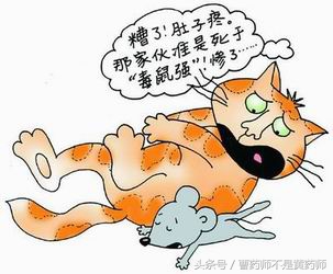 16岁女孩玩手机被骂,十六岁女孩玩手机被骂