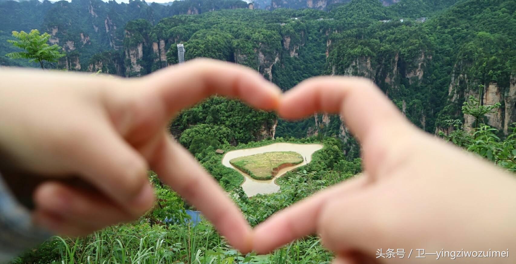 张家界自驾游一日游攻略大全最新,自驾游张家界旅游1天详细攻略