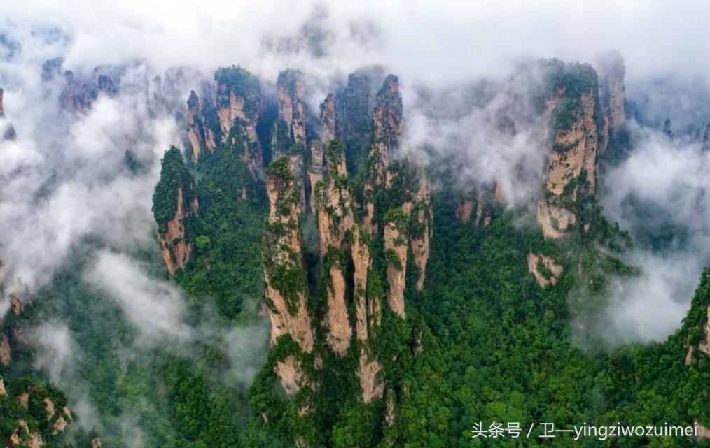 张家界自驾游一日游攻略大全最新,自驾游张家界旅游1天详细攻略