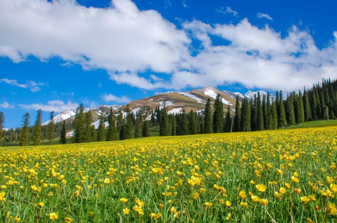杭州西湖人少景美的地方,济南人少景美的地方