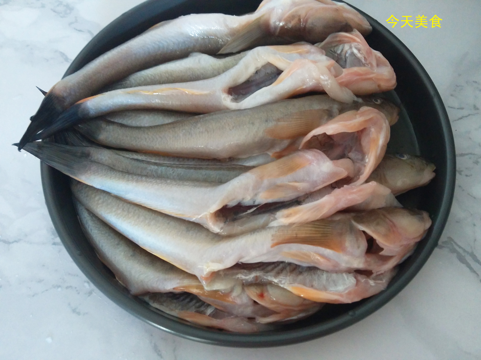 秋天最爱“胖头鱼”，它长得胖，有一个大头，骨软刺少就是好吃！