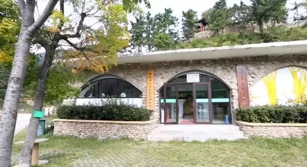 青岛有什么值得去的博物馆推荐,青岛值得去的几个博物馆