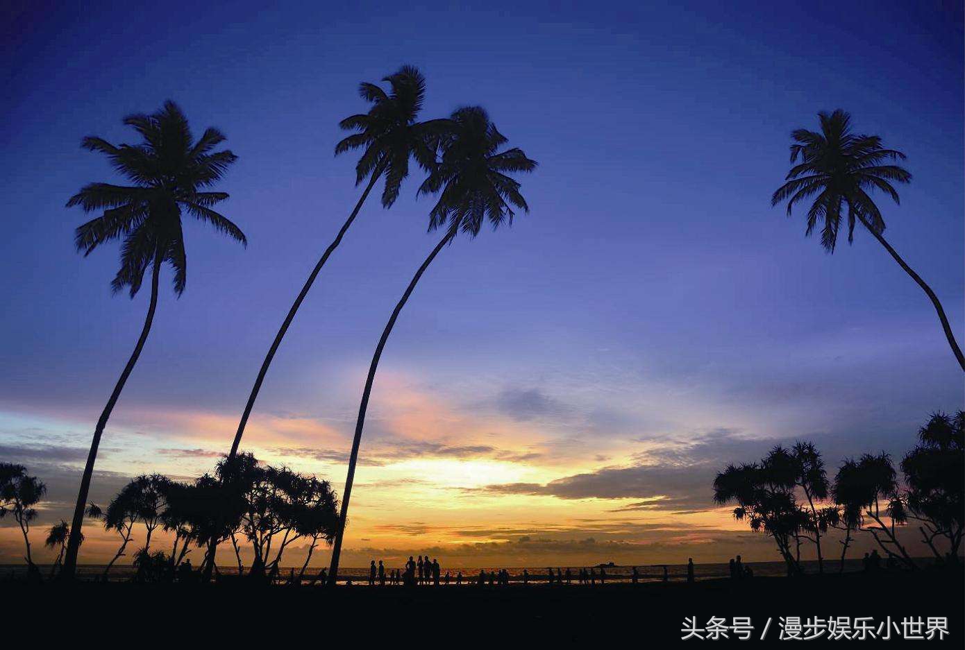 去斯里兰卡在哪里购茶价格便宜,去斯里兰卡买宝石注意什么