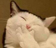 理工男真的都是直男吗,理工男都是直男吗