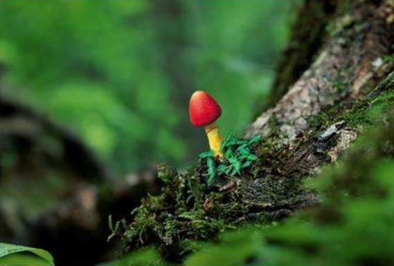 男人的五种性格让女人喜欢,男人的外在条件