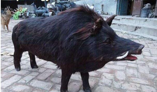 男人的五种性格让女人喜欢,男人的外在条件