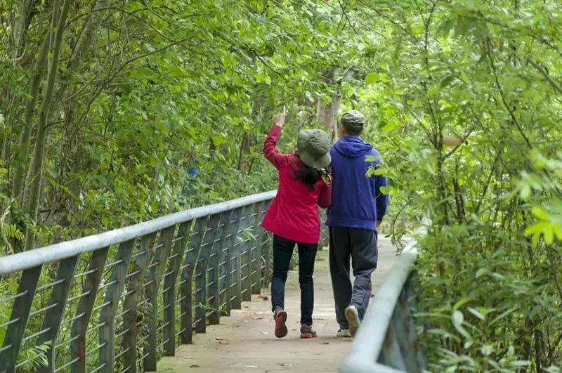 温江绿道全景视频,温江周边50公里绿道