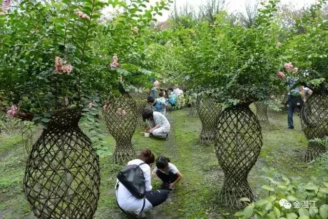 温江绿道全景视频,温江周边50公里绿道