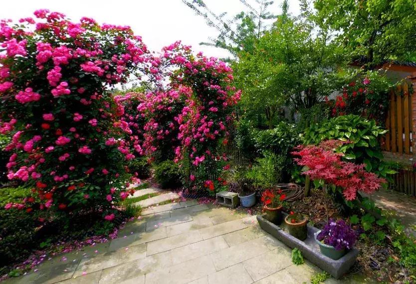 温江绿道全景视频,温江周边50公里绿道