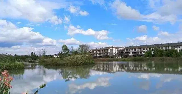 温江绿道全景视频,温江周边50公里绿道