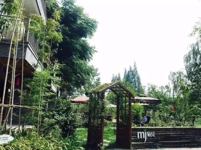 温江绿道全景视频,温江周边50公里绿道