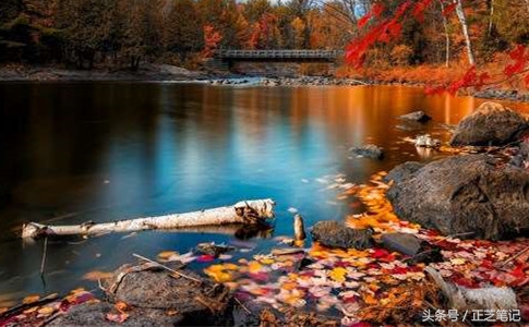 出国旅游刷信用卡注意事项,出境旅游小技巧