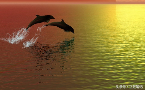 出国旅游刷信用卡注意事项,出境旅游小技巧