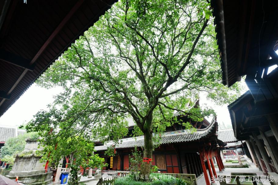 “天下第一禅堂”：一座城桂花十里香专门培育方丈的神秘之堂