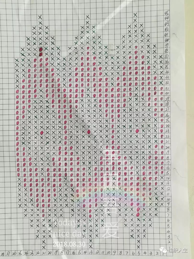 暖暖毛衣编织,儿童圆肩毛衣简单提花