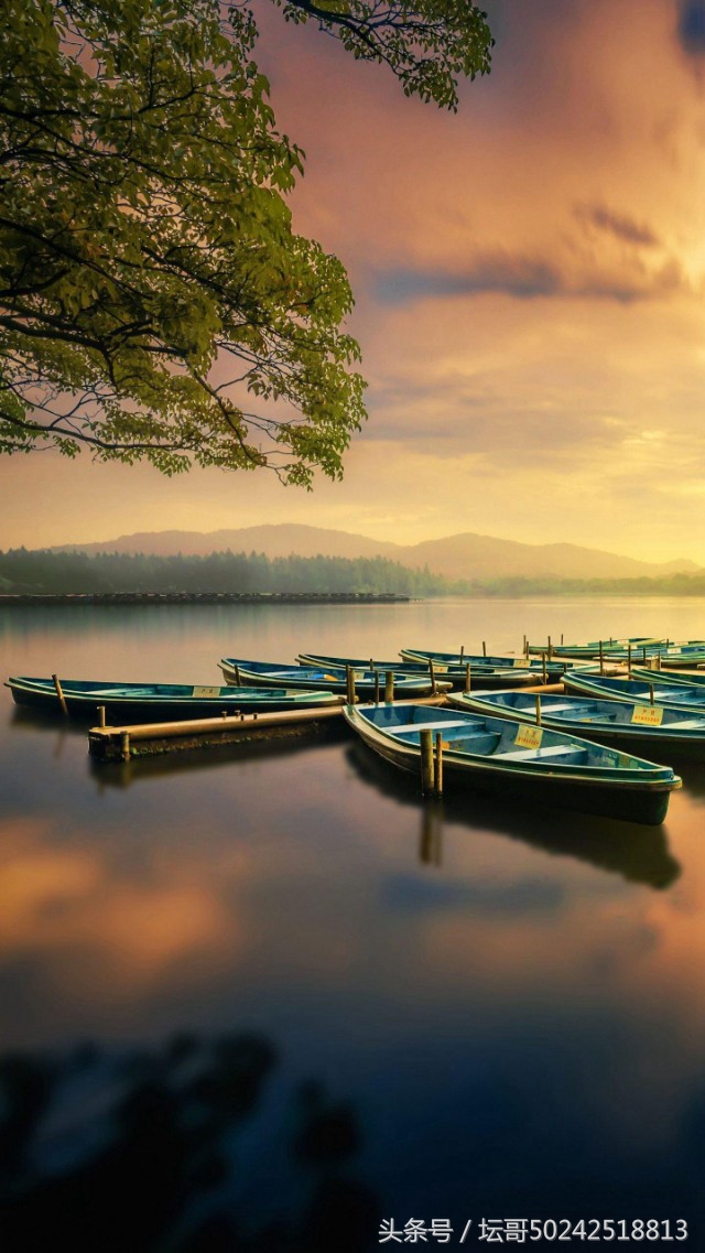 该如何面对月考,面对月考怎么正确复习