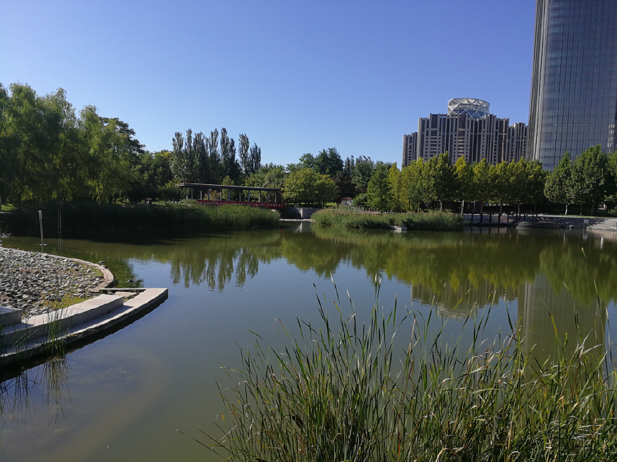 去银行自动存款机识别不了钞票,去银行自动取款机取不出钱