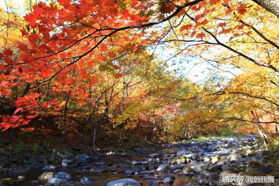 佳能ef35mm1.4l一代,置换佳能5d3