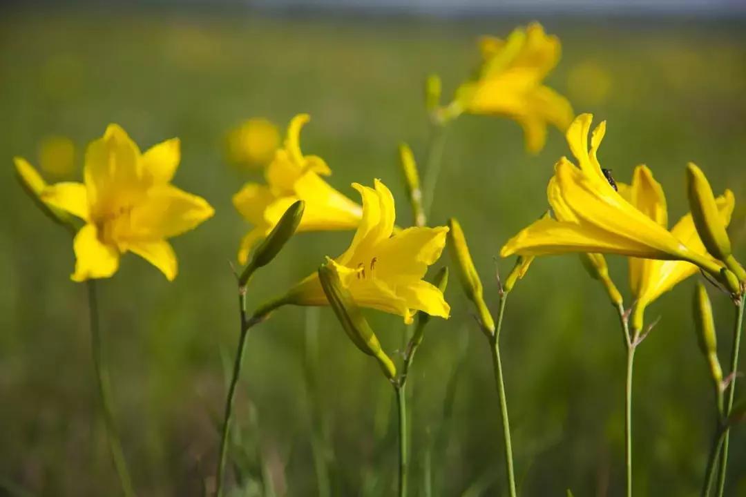 黑龙江即将腾飞的县,黑龙江省哪个县有发展潜力